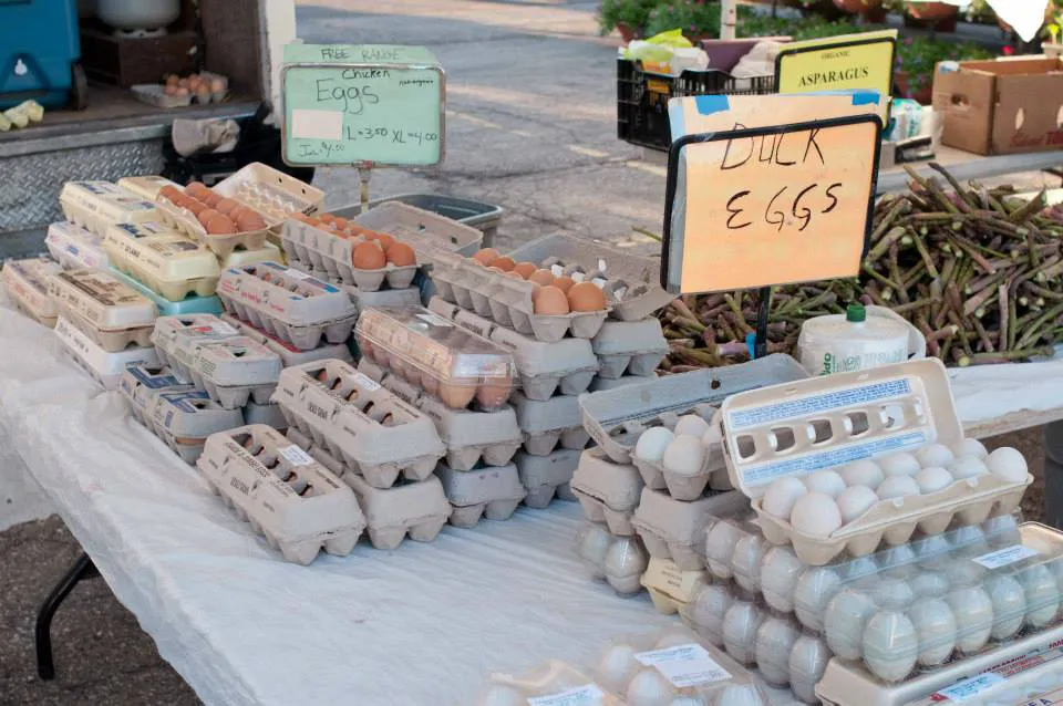 Farm-Fresh Eggs