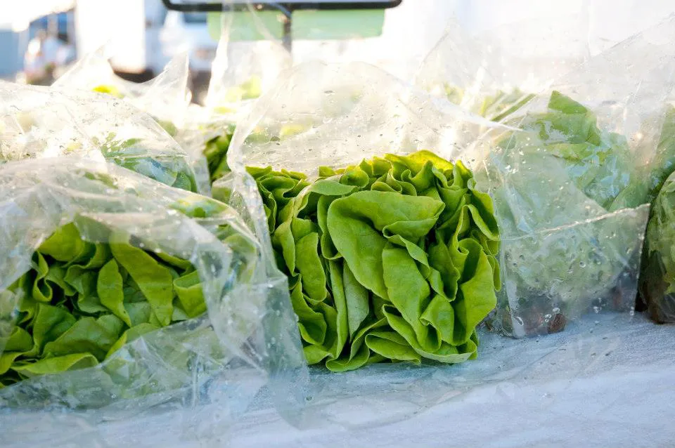 Farm-fresh seasonal harvest