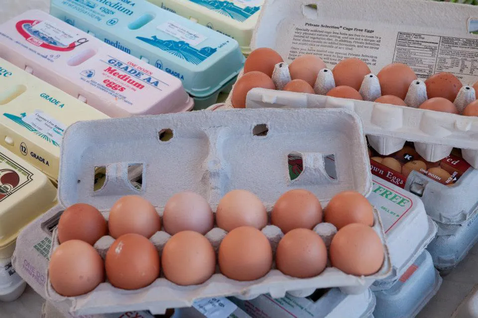 Farm-Fresh Eggs