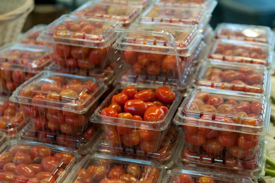 Carpenter's Greenhouse & Produce