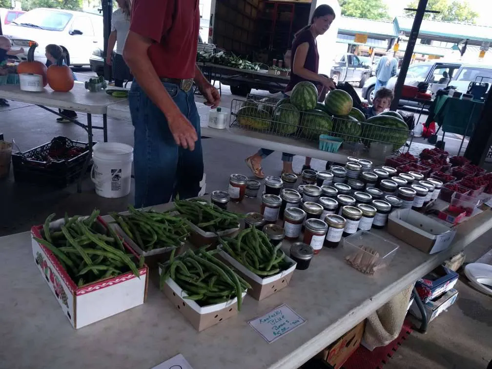 Just-picked produce from the field