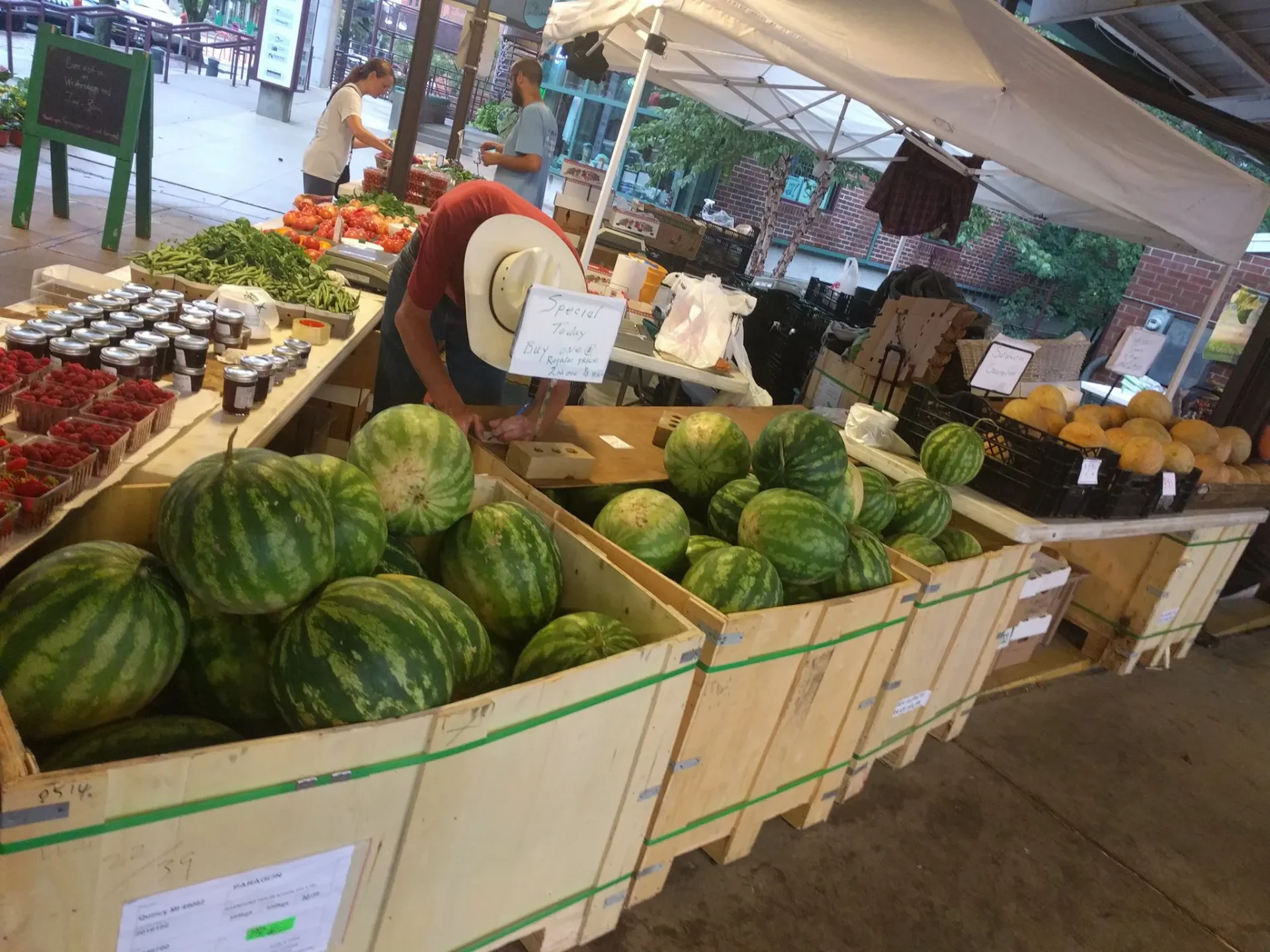 Seasonal Michigan fruits