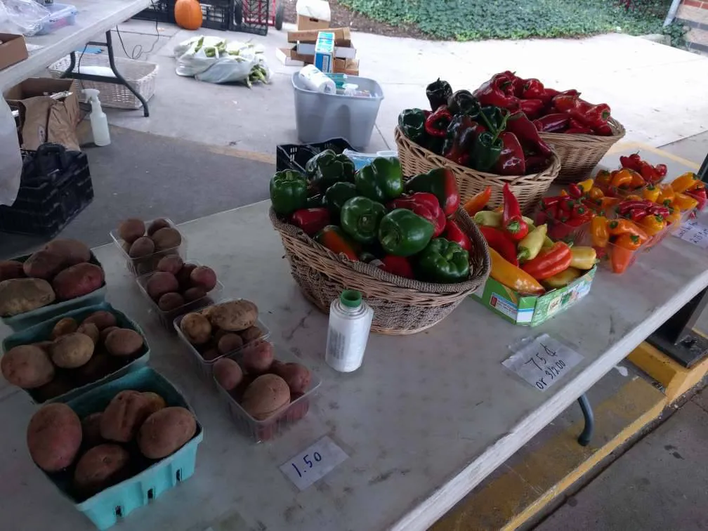 A CSA share box ready for pickup